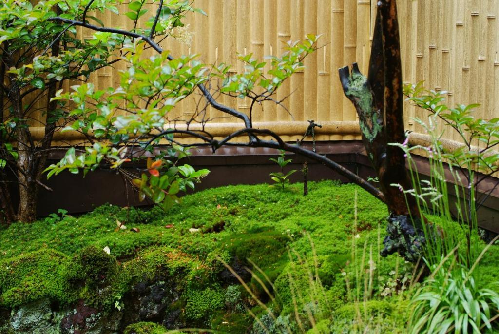 城崎温泉 但馬屋-Tajimaya- โทโยคะ ภายนอก รูปภาพ